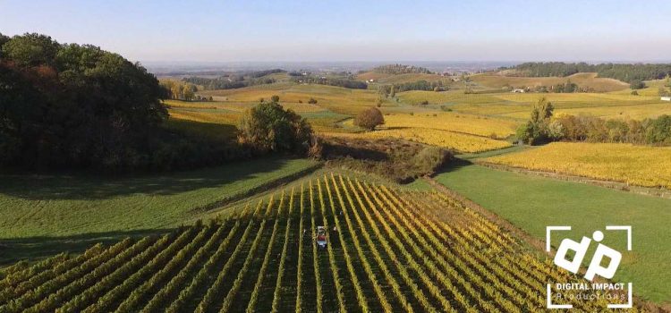 Vendanges 2016