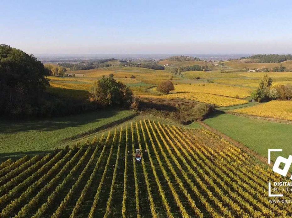 Vendanges 2016