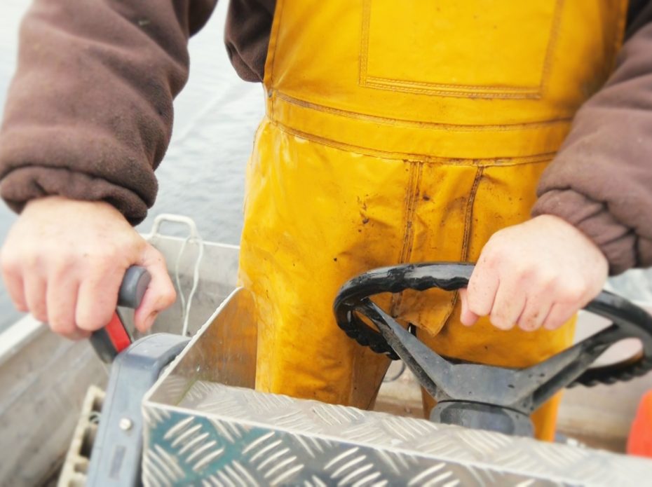 Une matinée de pêche sur la Dordogne